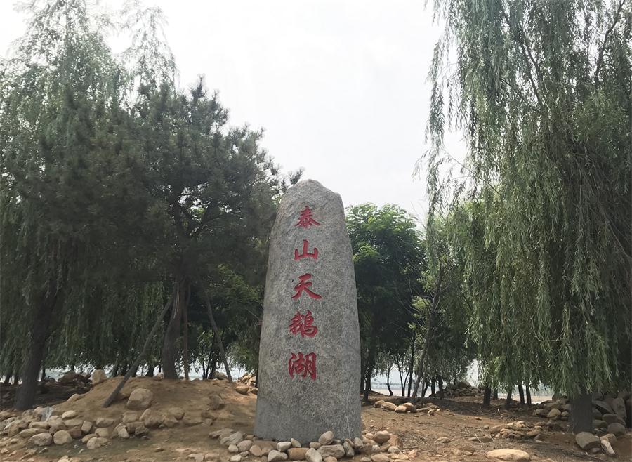 天鵝湖風(fēng)景區(qū)（泰山）速覽！(圖12)