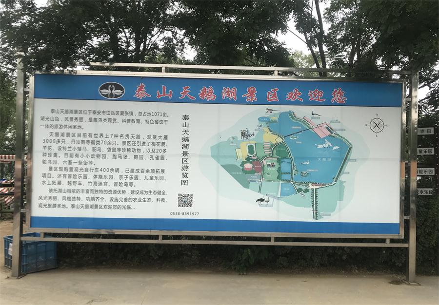 天鵝湖風(fēng)景區(qū)（泰山）速覽！(圖2)