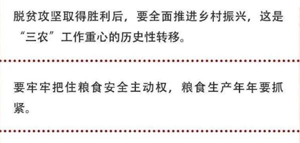 2020年中央農(nóng)村工作會議精神速覽！(圖2)
