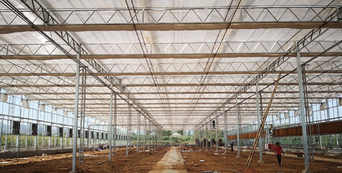 信橋鋼構：打卡蒙陰農(nóng)業(yè)溫室大棚、青州黑牛養(yǎng)殖基地！(圖3)