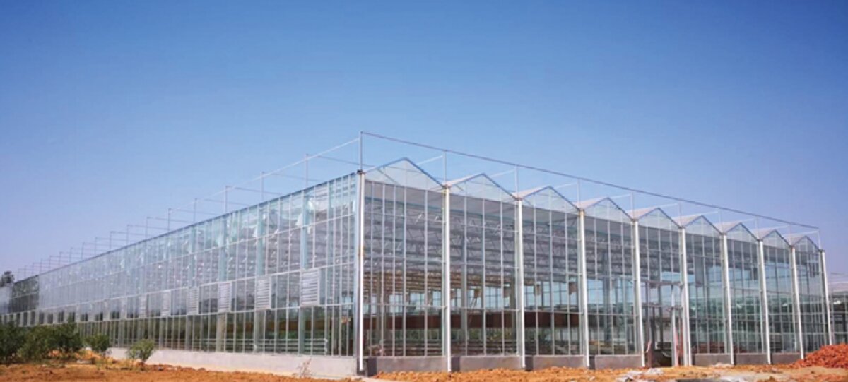 信橋鋼構：打卡蒙陰農(nóng)業(yè)溫室大棚、青州黑牛養(yǎng)殖基地！(圖2)